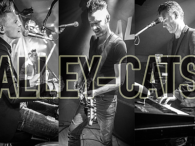 Julefrokost Årslev Kro