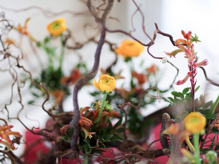 blomster